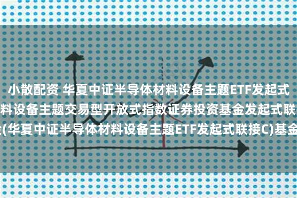 小散配资 华夏中证半导体材料设备主题ETF发起式联接C: 华夏中证半导体材料设备主题交易型开放式指数证券投资基金发起式联接基金(华夏中证半导体材料设备主题ETF发起式联接C)基金产品资料概要更新(2025-05-30)