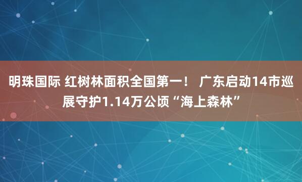 明珠国际 红树林面积全国第一！ 广东启动14市巡展守护1.14万公顷“海上森林”