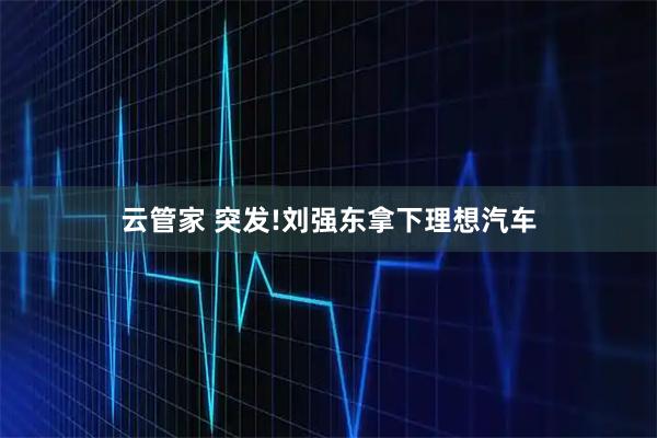 云管家 突发!刘强东拿下理想汽车