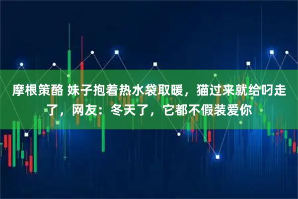 摩根策酪 妹子抱着热水袋取暖，猫过来就给叼走了，网友：冬天了，它都不假装爱你
