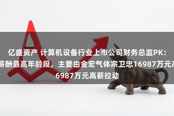 亿盛资产 计算机设备行业上市公司财务总监PK：57岁为薪酬最高年龄段，主要由金宏气体宗卫忠16987万元高薪拉动